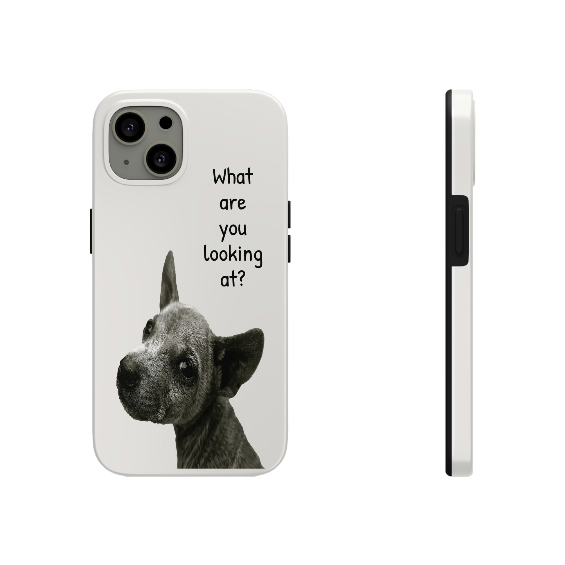 This unique iPhone case features a slight scruffy dog looking back over its shoulder in a challenging way with the text "What are you looking at?"