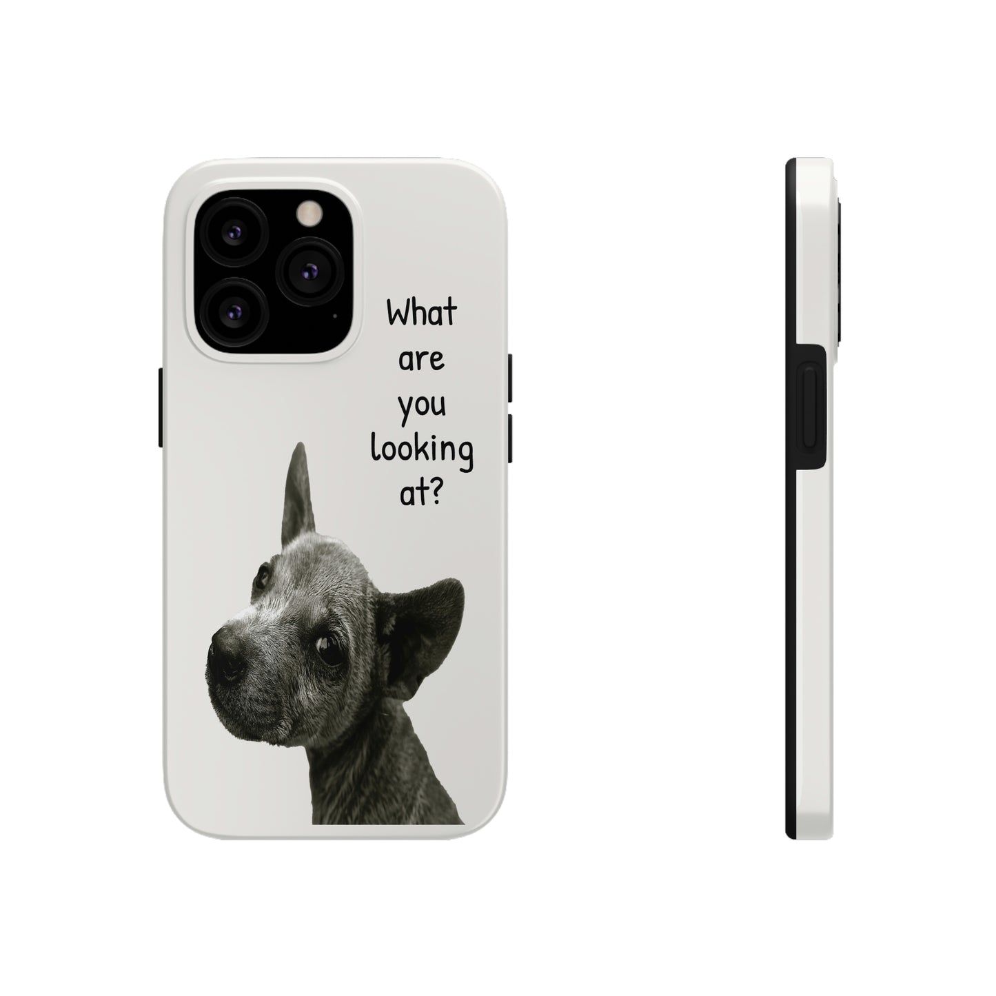 This unique iPhone case features a slight scruffy dog looking back over its shoulder in a challenging way with the text "What are you looking at?"