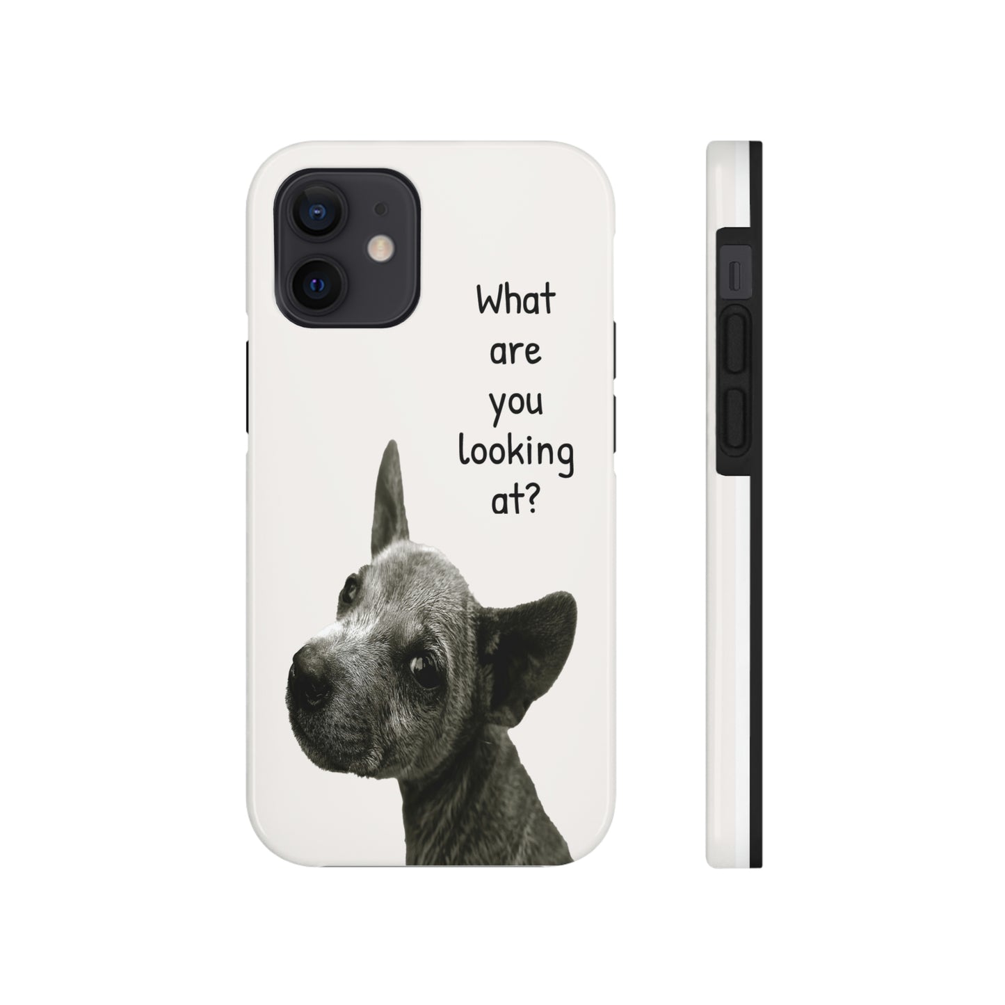 This unique iPhone case features a slight scruffy dog looking back over its shoulder in a challenging way with the text "What are you looking at?"