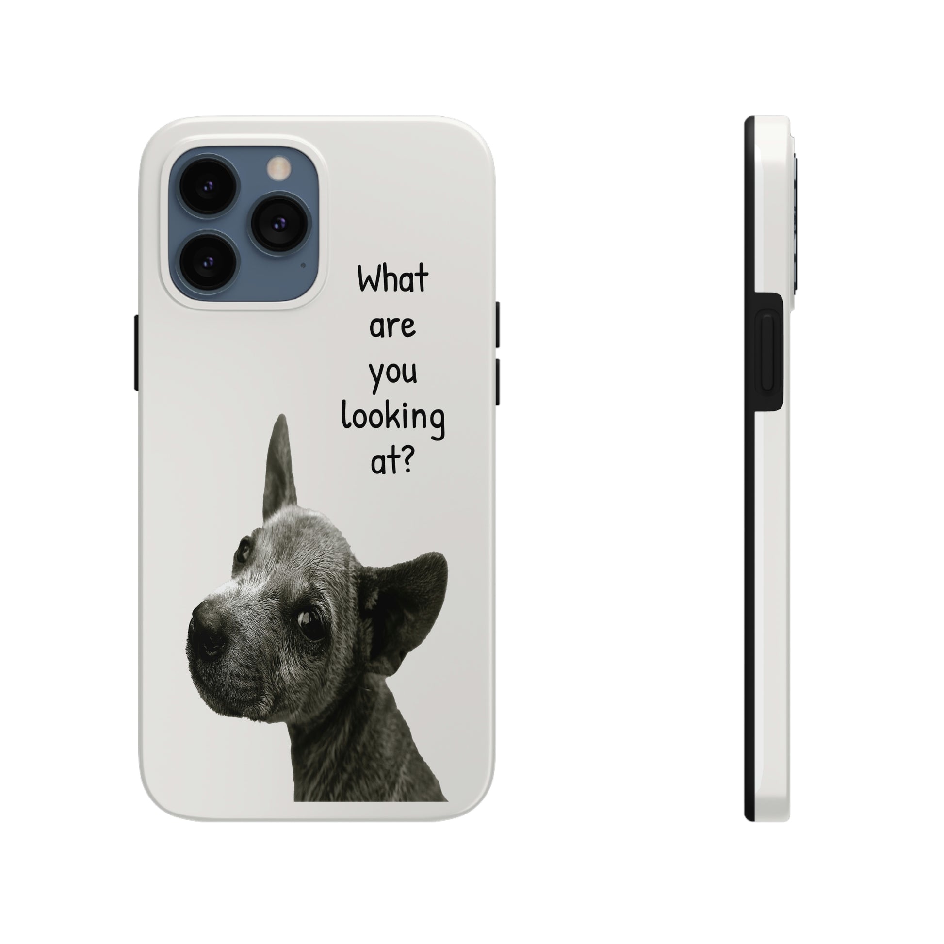 This unique iPhone case features a slight scruffy dog looking back over its shoulder in a challenging way with the text "What are you looking at?"