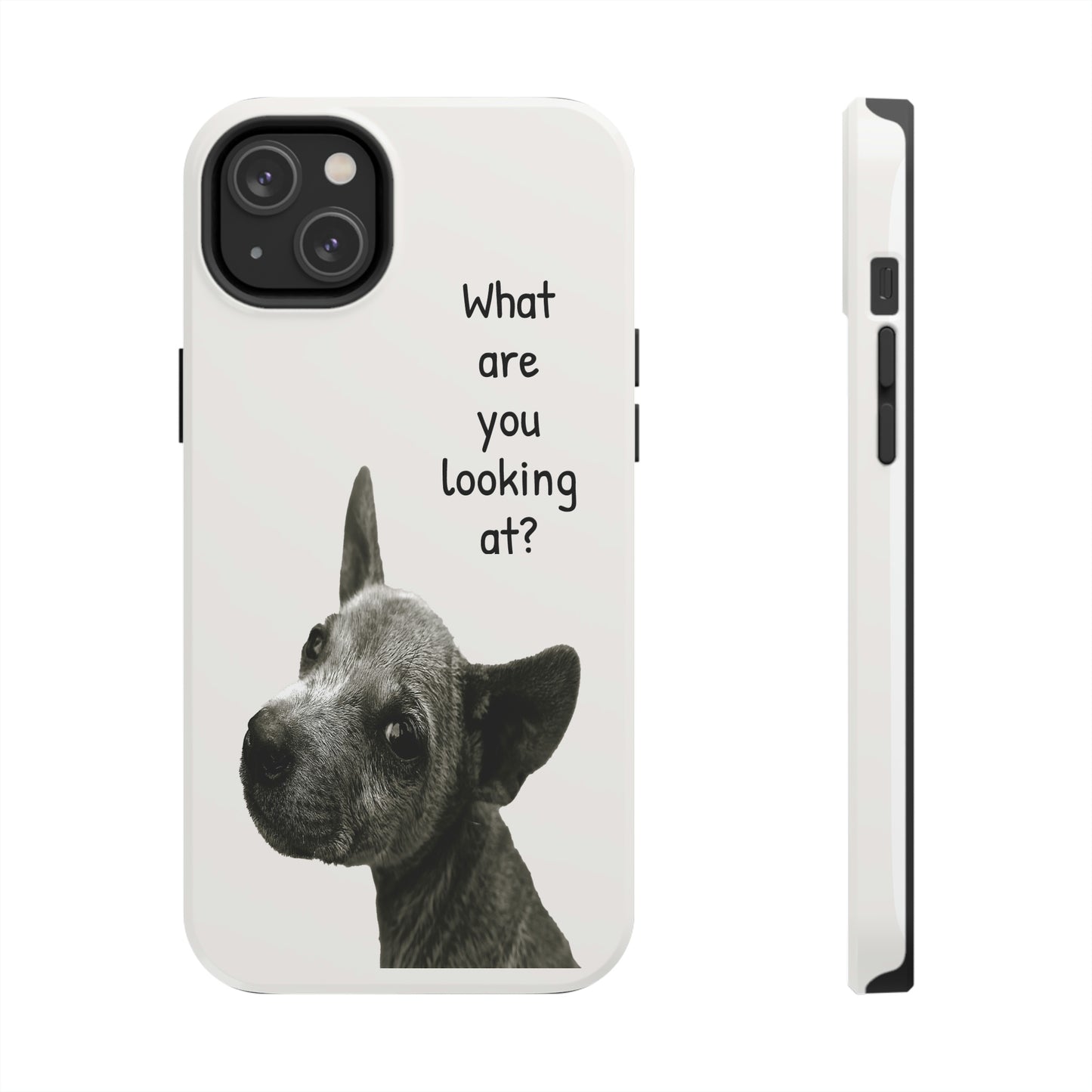 This unique iPhone case features a slight scruffy dog looking back over its shoulder in a challenging way with the text "What are you looking at?"