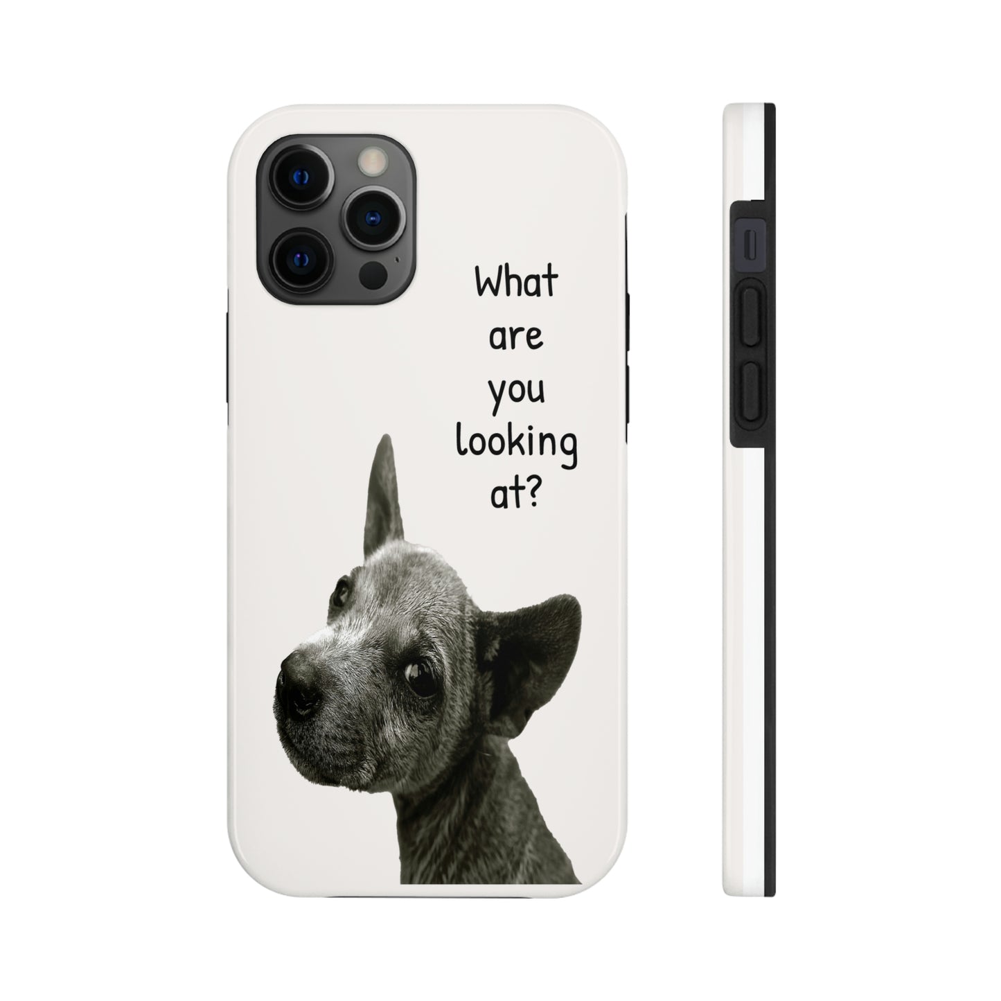 This unique iPhone case features a slight scruffy dog looking back over its shoulder in a challenging way with the text "What are you looking at?"